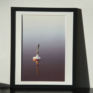 cbaud-salines-cadre-impression-art